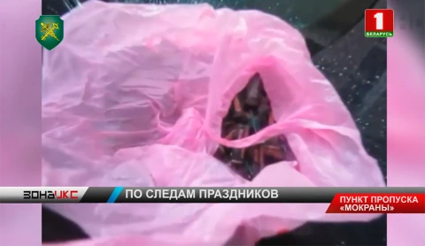 Пиротехнику стоимостью более 8 тысяч рублей изъяли брестские таможенники Пиротехнику стоимостью более 8 тысяч рублей изъяли брестские таможенники