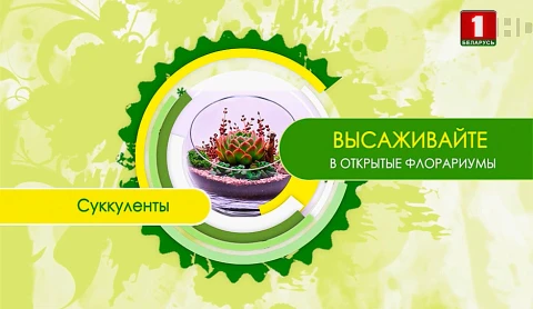 Дача (10.04.2021) Дача (10.04.2021)