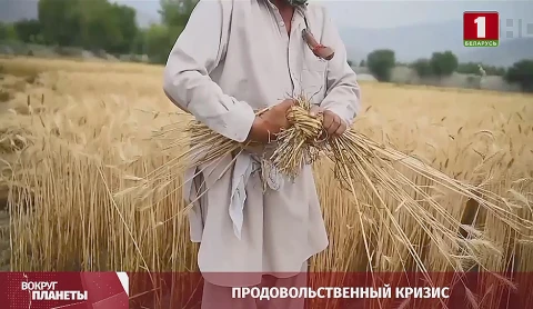 Продовольственный кризис, саммит НАТО, секреты Египта, самый большой подвесной мост - итоги недели в программе "Вокруг планеты" Продовольственный кризис, саммит НАТО, секреты Египта, самый большой подвесной мост - итоги недели в программе "Вокруг планеты"