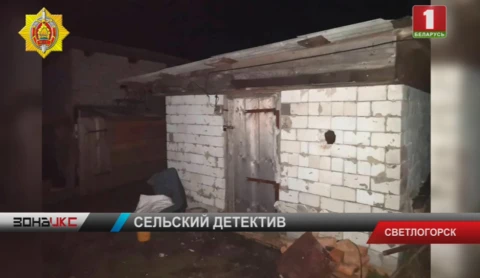 Сыщики Светлогорска в поисках конокрада вышли на скупщика краденого Сыщики Светлогорска в поисках конокрада вышли на скупщика краденого