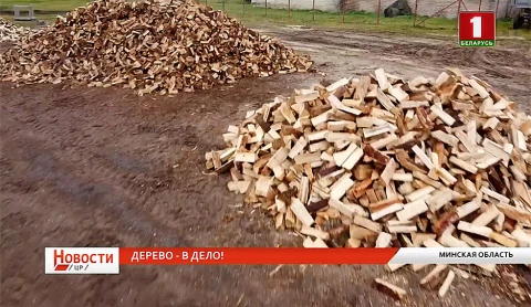 Дерево - в дело! Дерево - в дело!