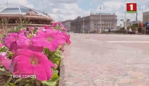 Твой город | В Минске месяц по наведению порядка Твой город | В Минске месяц по наведению порядка