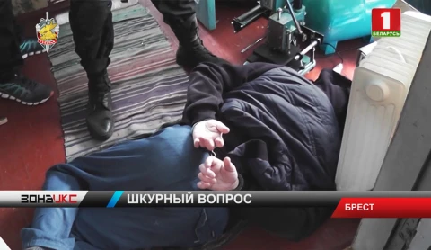 По 28 фактам подделки документов и мошеннических действий возбуждены уголовные дела По 28 фактам подделки документов и мошеннических действий возбуждены уголовные дела