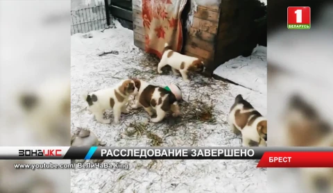 Завершено расследование уголовного дела в отношении 32-летней жительницы Жабинковского района Завершено расследование уголовного дела в отношении 32-летней жительницы Жабинковского района