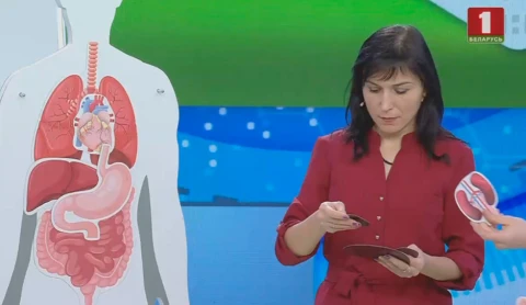 Химия любви Химия любви