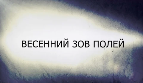 В открытом доступе | Весенний зов полей В открытом доступе | Весенний зов полей