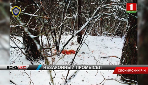 Следователи возбудили уголовное дело по факту незаконной охоты в Слонимском районе Следователи возбудили уголовное дело по факту незаконной охоты в Слонимском районе