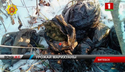 В Витебске задержали двоих местных жителей с крупной партией наркотиков В Витебске задержали двоих местных жителей с крупной партией наркотиков