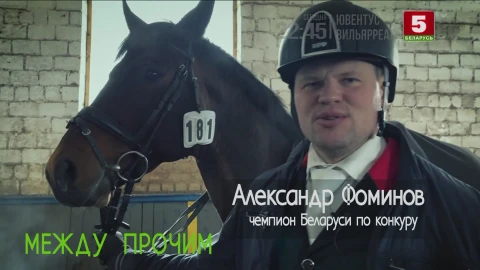 Между прочим | О конном спорте Между прочим | О конном спорте