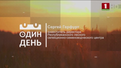 Сергей Герфурт - заместитель директора Республиканского лесного селекционно-семеноводческого центра Сергей Герфурт - заместитель директора Республиканского лесного селекционно-семеноводческого центра
