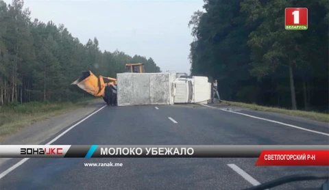 Зона Х | Молочные реки потекли по трассе Р82 под Светлогорском Зона Х | Молочные реки потекли по трассе Р82 под Светлогорском