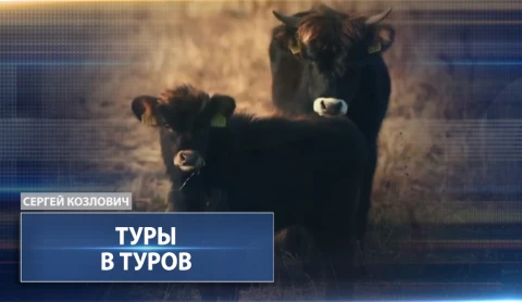 Туры в Туров Туры в Туров