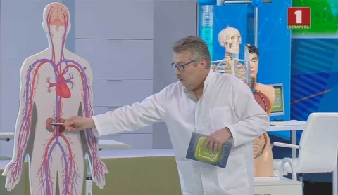 Артериальная гипертензия Артериальная гипертензия