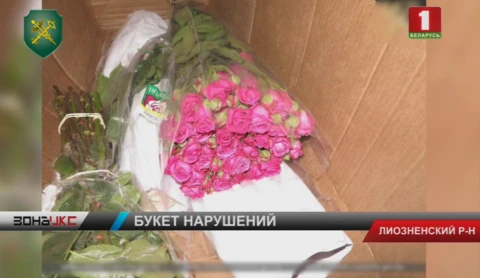 Попытку незаконного ввоза в Беларусь более 20 000 цветов пресекли витебские таможенники Попытку незаконного ввоза в Беларусь более 20 000 цветов пресекли витебские таможенники