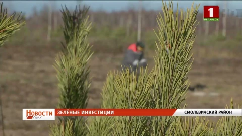 Зеленые инвестиции | Форум сельской молодежи | Снежный старт | Арт-династия Зеленые инвестиции | Форум сельской молодежи | Снежный старт | Арт-династия