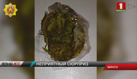 На день рождения 19-летнему минчанину подарили марихуану На день рождения 19-летнему минчанину подарили марихуану