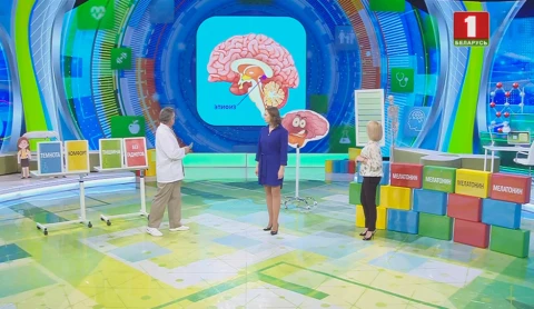 Мелатонин и сон Мелатонин и сон