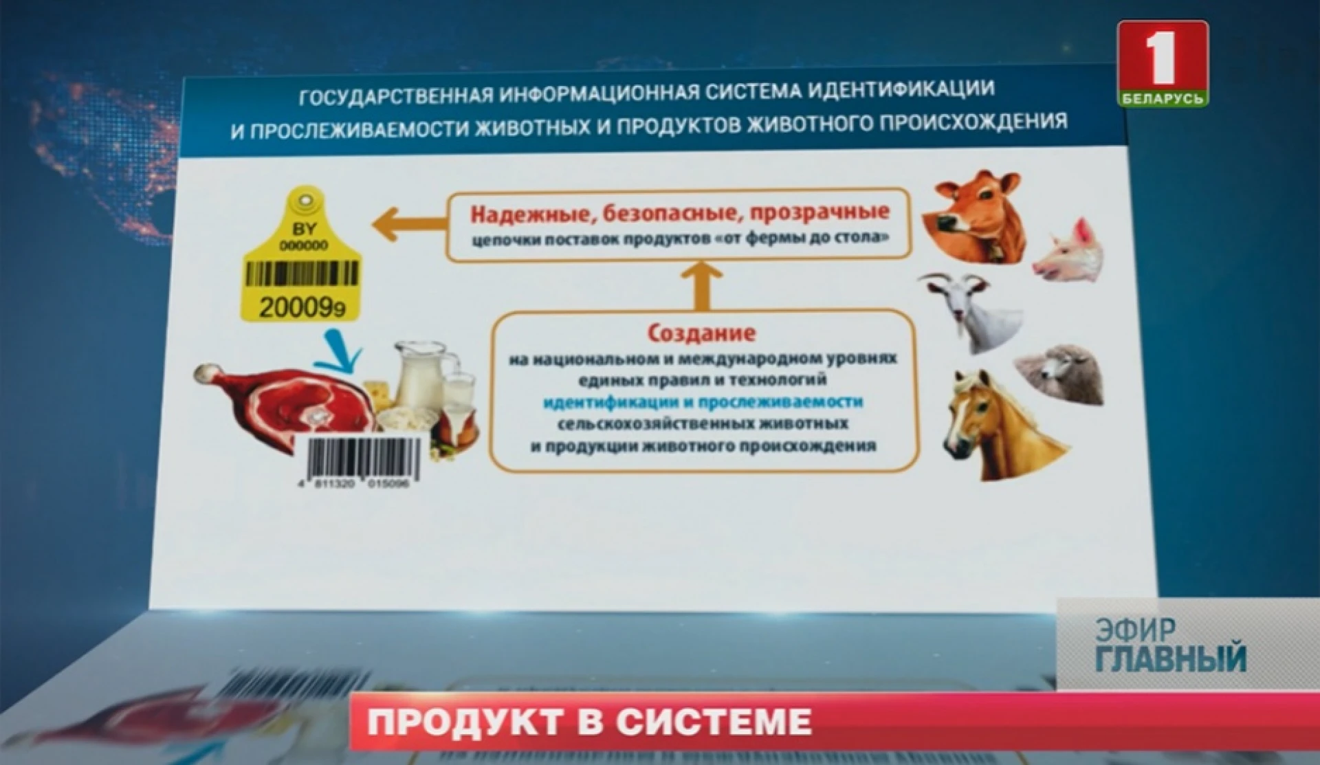 Aits. Аитс идентификация животных крс