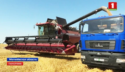 Панорама | 11.08.2018 Панорама | 11.08.2018