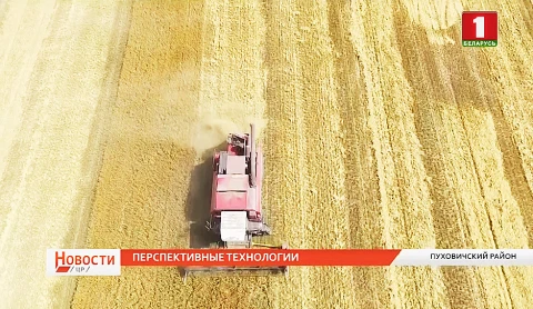 Небывалый урожай зерновых-2020 - как основа будущего производства Небывалый урожай зерновых-2020 - как основа будущего производства