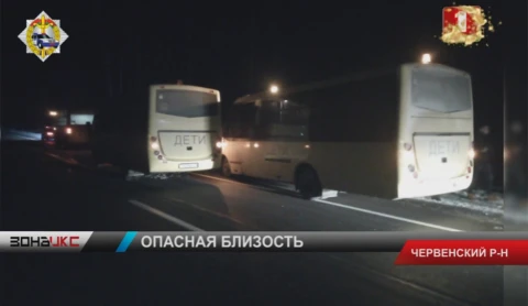 Транспорт с детьми попал в аварию из-за диких животных Транспорт с детьми попал в аварию из-за диких животных