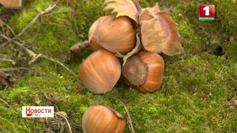 Развитие социальной инфраструктуры, плоды новатарского подхода, секрет инженерных знаний Развитие социальной инфраструктуры, плоды новатарского подхода, секрет инженерных знаний