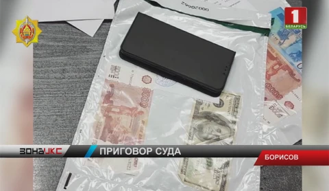 5 лет колонии усиленного режима с конфискацией имущества 5 лет колонии усиленного режима с конфискацией имущества