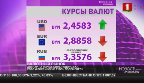 В белорусскую экономику в первом полугодии поступило 4,5 млрд долларов иностранных инвестиций В белорусскую экономику в первом полугодии поступило 4,5 млрд долларов иностранных инвестиций