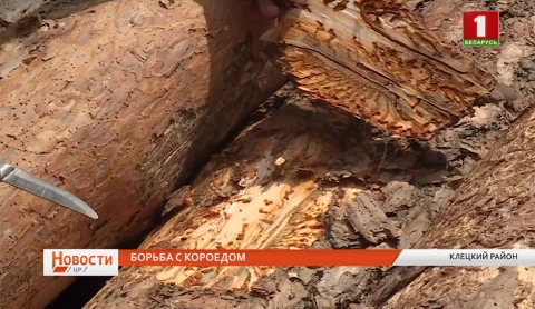 Новости. Центральный регион | Солигорск отмечает юбилей Новости. Центральный регион | Солигорск отмечает юбилей