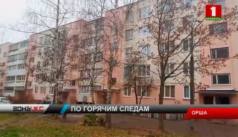 В Орше задержан мужчина, подозреваемый в грабеже В Орше задержан мужчина, подозреваемый в грабеже