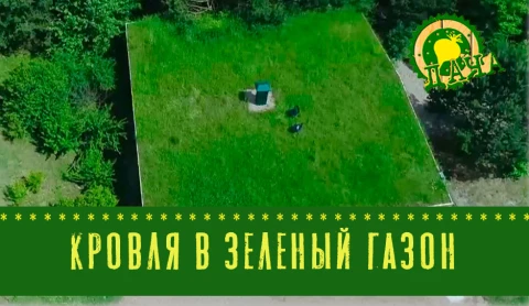 "Зеленая крыша" "Зеленая крыша"