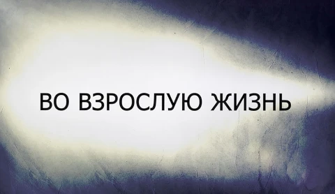 В открытом доступе | Во взрослую жизнь В открытом доступе | Во взрослую жизнь