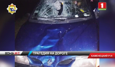 Автомобиль насмерть сбил мужчину в Каменецком районе Автомобиль насмерть сбил мужчину в Каменецком районе