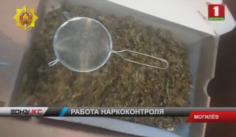Более двух килограммов конопли бойцы наркоконтроля изъяли у дилера из Могилева Более двух килограммов конопли бойцы наркоконтроля изъяли у дилера из Могилева