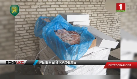 За транспортировку рыбы без документов фирме-получателю грозит штраф За транспортировку рыбы без документов фирме-получателю грозит штраф