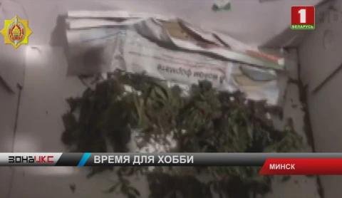 Скрытым хобби минского водителя с 20-летним стажем были наркотики Скрытым хобби минского водителя с 20-летним стажем были наркотики