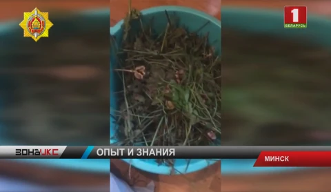 Задержан мужчина, у которого нашли более 2 килограммов мака Задержан мужчина, у которого нашли более 2 килограммов мака