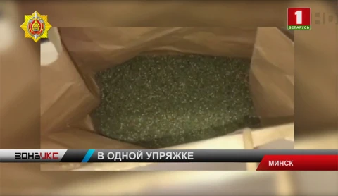 Спецоперация в поселке Гатово. Задержанны по подозрению в обороте наркотиков Спецоперация в поселке Гатово. Задержанны по подозрению в обороте наркотиков