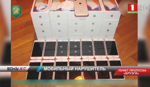 Мобильные телефоны и гарнитуру к ним незаконно попытался ввезти житель Гродно на территорию ЕАЭС Мобильные телефоны и гарнитуру к ним незаконно попытался ввезти житель Гродно на территорию ЕАЭС