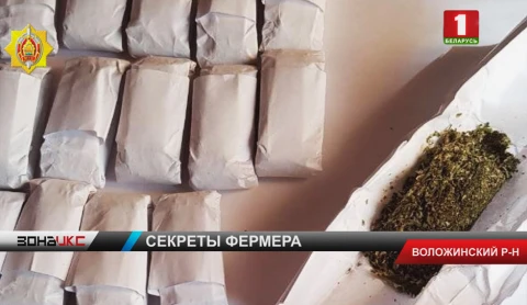 В Воложинском районе у женатой пары обнаружили 35 килограммов конопли В Воложинском районе у женатой пары обнаружили 35 килограммов конопли