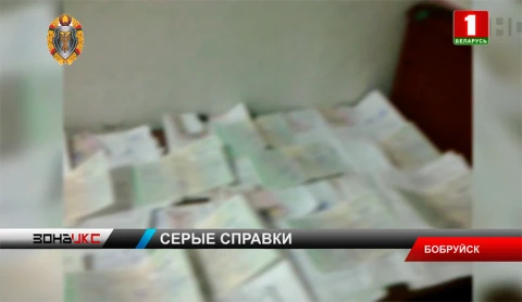 Житель Бобруйска выдавал счет-справки собственникам автомобилей без какого-либо сопровождения документов Житель Бобруйска выдавал счет-справки собственникам автомобилей без какого-либо сопровождения документов