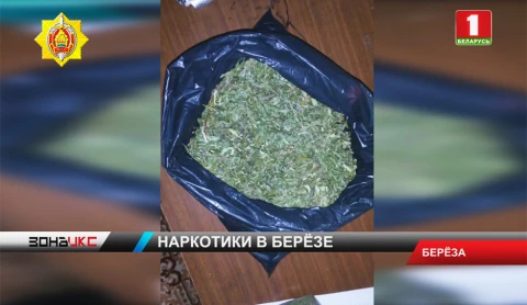 Крупную партию дурмана бойцы наркоконтроля изъяли у жителя Березы Крупную партию дурмана бойцы наркоконтроля изъяли у жителя Березы
