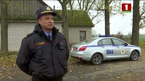 Истории спасения 20.11.2022 Истории спасения 20.11.2022