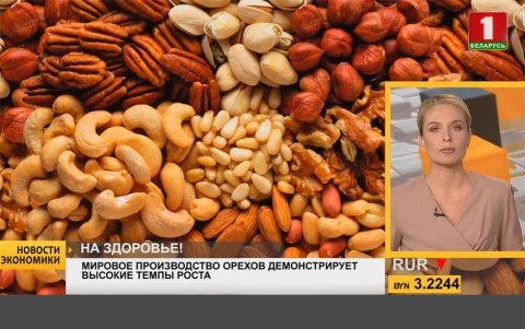 Новости экономики | Мировое производство орехов демонстрирует высокие темпы роста Новости экономики | Мировое производство орехов демонстрирует высокие темпы роста
