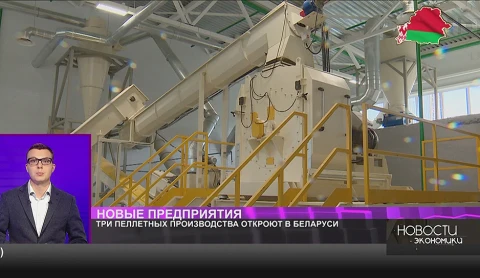 Еще три пеллетных производства откроют в Беларуси в ближайшее время Еще три пеллетных производства откроют в Беларуси в ближайшее время