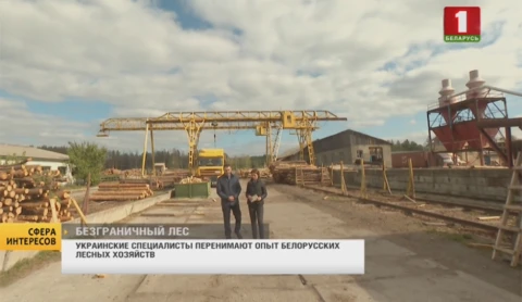 Сфера интересов | Лесное хозяйство Беларуси- лидер в кадровом обеспечении Сфера интересов | Лесное хозяйство Беларуси- лидер в кадровом обеспечении