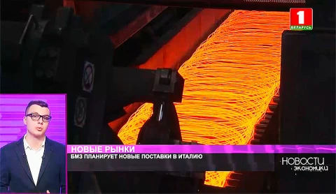 БМЗ планирует новые поставки в Италию БМЗ планирует новые поставки в Италию