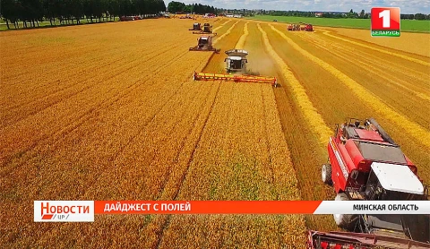 "Хлебный марафон" в Минской области, молодые специалисты в больницах минского района, юбилей "Агрокомбината Снов" "Хлебный марафон" в Минской области, молодые специалисты в больницах минского района, юбилей "Агрокомбината Снов"