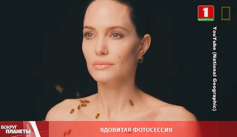 Пандемия душит экономику, последствия экотерроризма, ядовитый фотосет Джоли и красное суперлуние - итоги недели в программе "Вокруг планеты" Пандемия душит экономику, последствия экотерроризма, ядовитый фотосет Джоли и красное суперлуние - итоги недели в программе "Вокруг планеты"