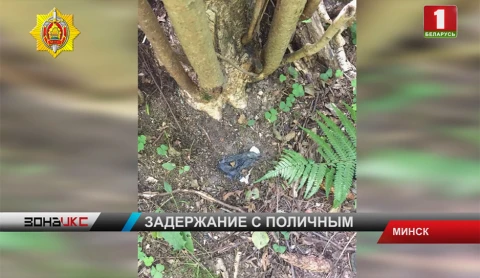 Спецоперация по задержанию закладчиков наркотиков проходила в одном из парков Минска Спецоперация по задержанию закладчиков наркотиков проходила в одном из парков Минска